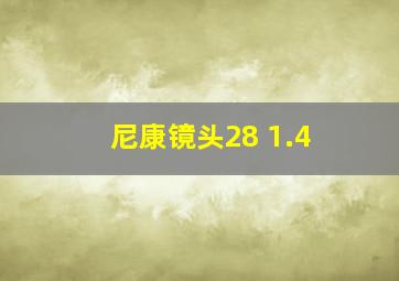 尼康镜头28 1.4